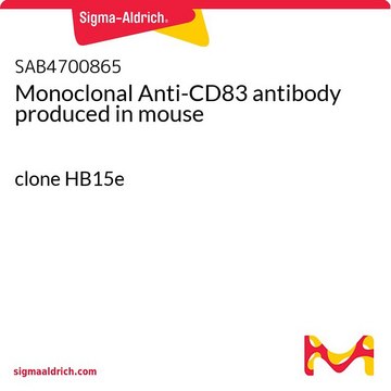 Monoclonal Anti-CD83 antibody produced in