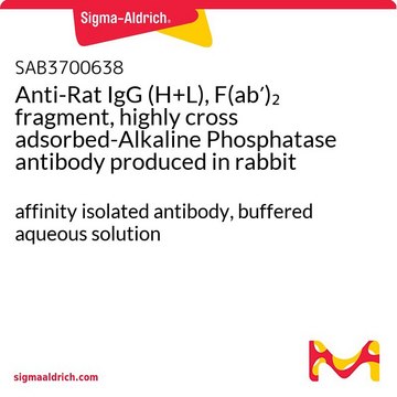Anti-Rat IgG (H+L), F(ab?)? fragment,