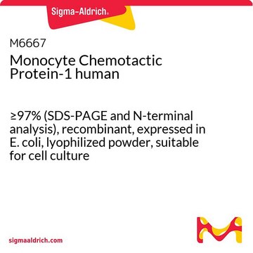 Monocyte Chemotactic Protein-1 human