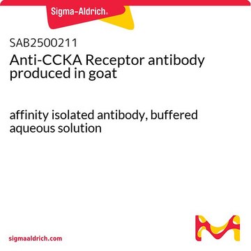 Anti-CCKA Receptor antibody produced in