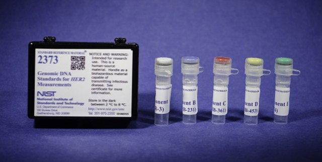 Genomic DNA Standards for HER2