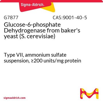 Glucose-6-phosphate Dehydrogenase from baker’s yeast