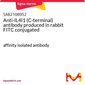 Anti-IL4I1 (C-terminal) antibody produced in
