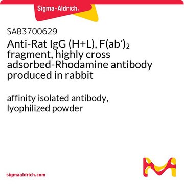 Anti-Rat IgG (H+L), F(ab?)? fragment,