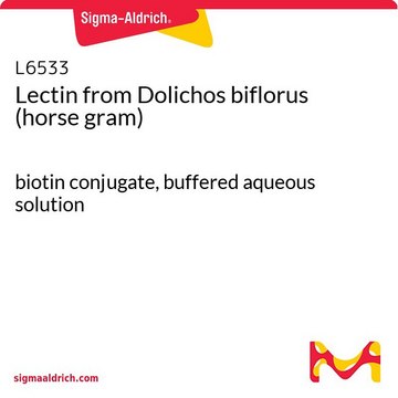 Lectin from Dolichos biflorus (horse