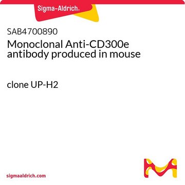 Monoclonal Anti-CD300e antibody produced in