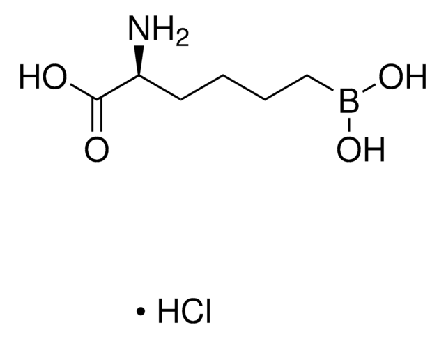 ABH hydrochloride