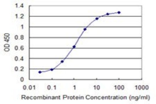 Monoclonal Anti-SLC19A3 antibody produced in
