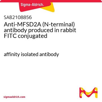 Anti-MFSD2A (N-terminal) antibody produced in
