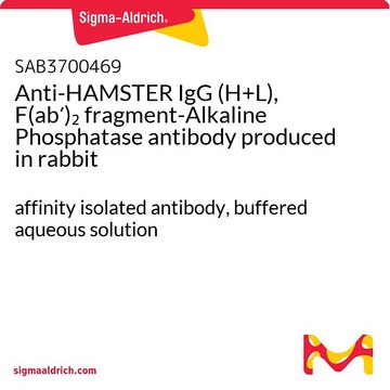 Anti-HAMSTER IgG (H+L), F(ab?)? fragment-Alkaline