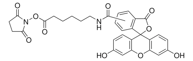 6-[Fluorescein-5(6)-carboxamido]hexanoic acid N-hydroxysuccinimide ester
