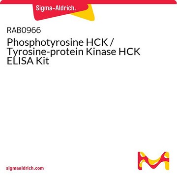 Phosphotyrosine HCK / Tyrosine-protein Kinase