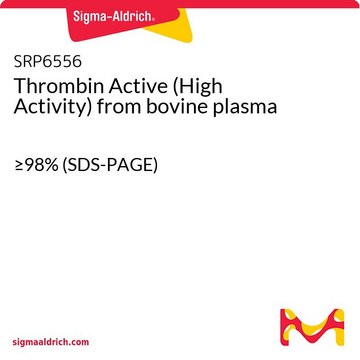 Thrombin Active (High Activity) from