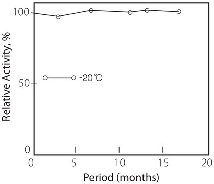 Pyruvate Oxidase from microorganisms
