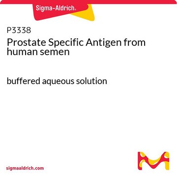 Prostate Specific Antigen from human