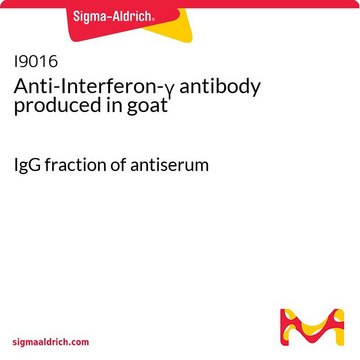 Anti-Interferon-? antibody produced in goat