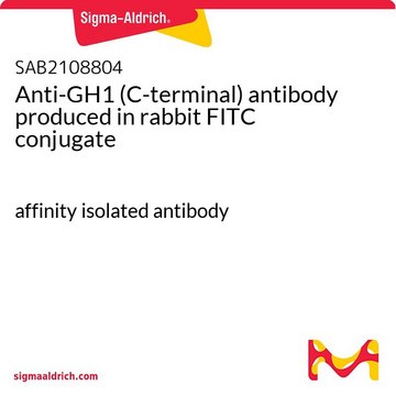 Anti-GH1 (C-terminal) antibody produced in