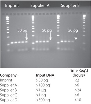 Imprint® DNA Modification Kit