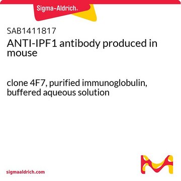 ANTI-IPF1 antibody produced in mouse