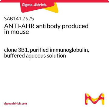 ANTI-AHR antibody produced in mouse