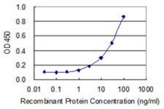 Monoclonal Anti-MRPL48 antibody produced in