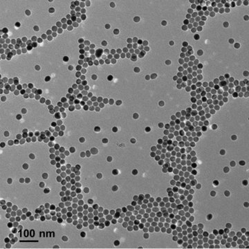 Iron oxide(II,III) magnetic nanoparticles solution