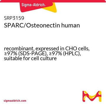 SPARC/Osteonectin human
