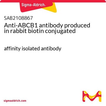 Anti-ABCB1 antibody produced in rabbit