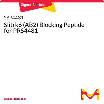 Slitrk6 (AB2) Blocking Peptide for