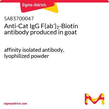 Anti-Cat IgG F(ab?)?-Biotin antibody produced