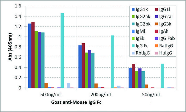 Anti-Mouse IgG Fc antibody, Goat