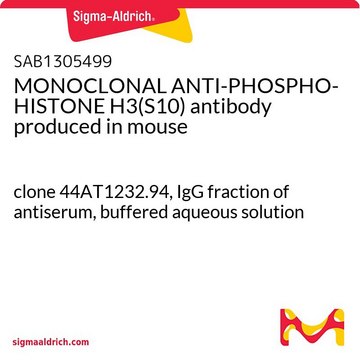 MONOCLONAL ANTI-PHOSPHO-HISTONE H3(S10) antibody produced