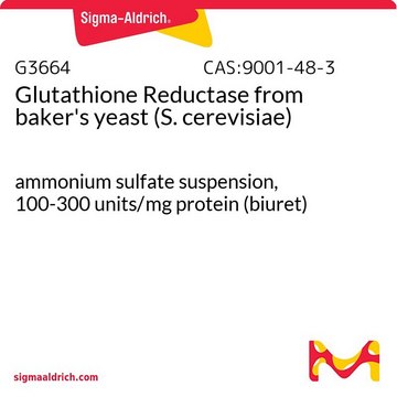 Glutathione Reductase from baker’s yeast