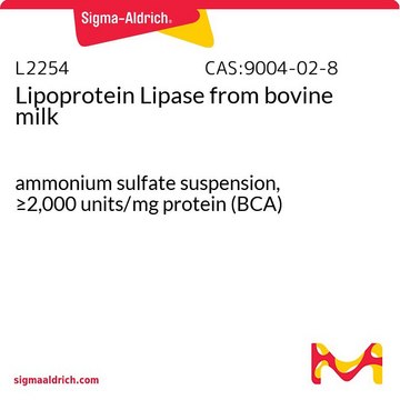 Lipoprotein Lipase from bovine milk