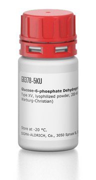 Glucose-6-phosphate Dehydrogenase from baker’s yeast