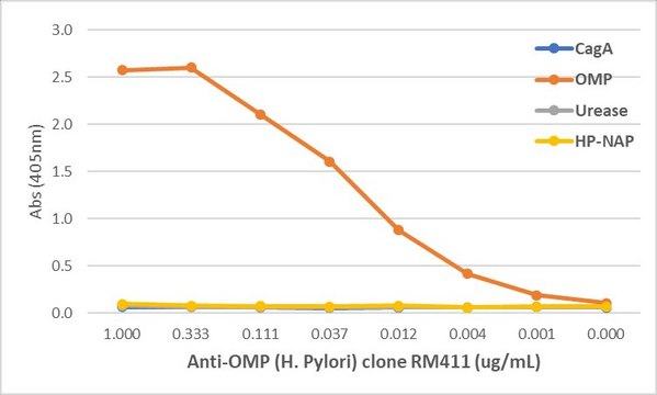 Anti-OMP (Helicobacter Pylori) Rabbit Monoclonal