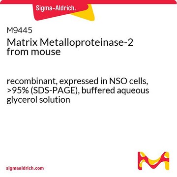 Matrix Metalloproteinase-2 from mouse