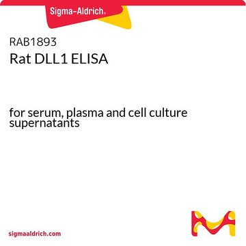 Rat DLL1 ELISA