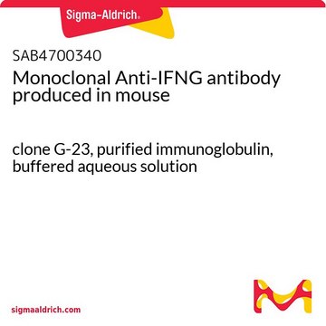 Monoclonal Anti-IFNG antibody produced in