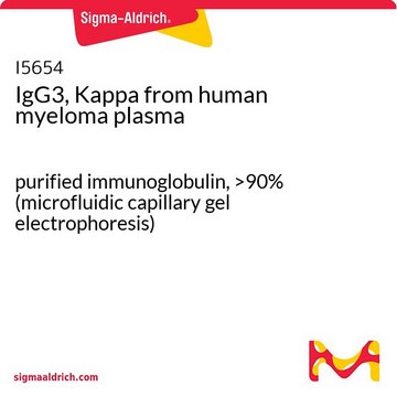 IgG3, Kappa from human myeloma