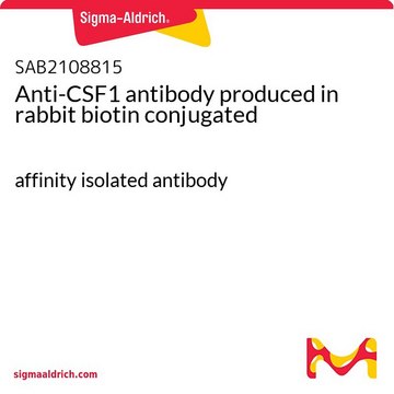 Anti-CSF1 antibody produced in rabbit