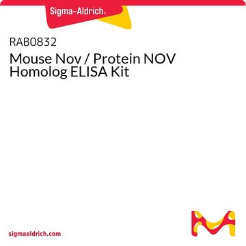 Mouse Nov / Protein NOV