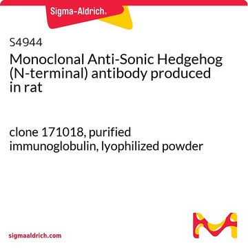 Monoclonal Anti-Sonic Hedgehog (N-terminal) antibody