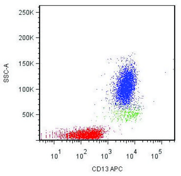 Monoclonal Anti-CD13-APC antibody produced in