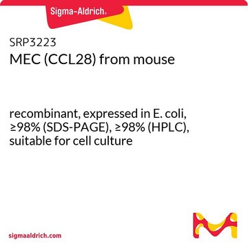MEC (CCL28) from mouse