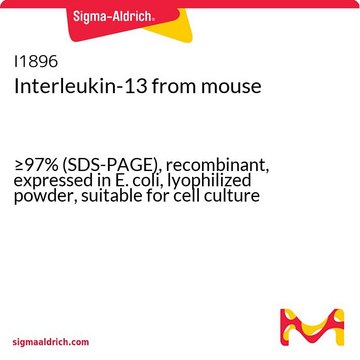 Interleukin-13 from mouse