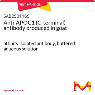 Anti-APOC1 (C-terminal) antibody produced in