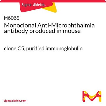 Monoclonal Anti-Microphthalmia antibody produced in