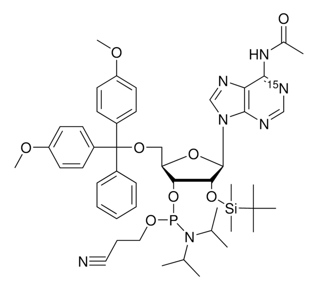 DMT-2?O-TBDMS-rA(ac)-1-¹?N phosphoramidite