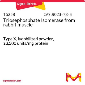 Triosephosphate Isomerase from rabbit muscle